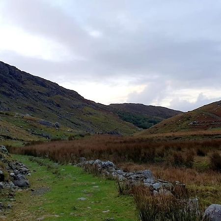 Secluded Cottage Nestled In The Beara Peninsula 킬라니 외부 사진