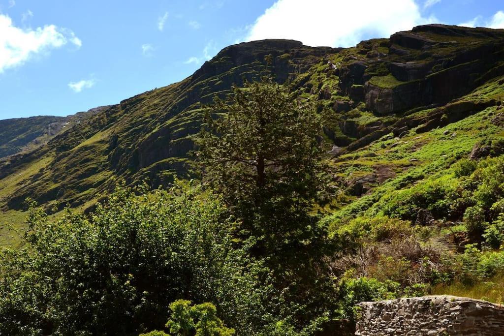 Secluded Cottage Nestled In The Beara Peninsula 킬라니 외부 사진